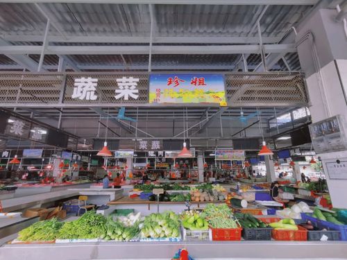 南海丹灶石联社区 地改清河涌，路网焕新颜，商业综合体引领华丽大变身