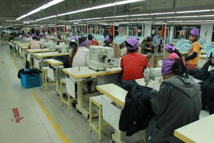 服装加工厂纳税指南 以“拓杰凯业”为例解析主要税种